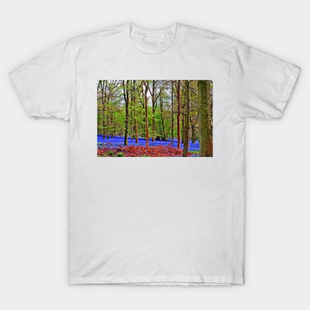 Bluebell Woods Greys Court Oxfordshire England UK T-Shirt by AndyEvansPhotos